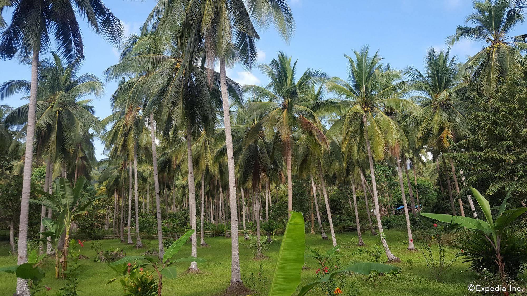 แมนโกรฟรีสอร์ท Puerto Princesa ภายนอก รูปภาพ